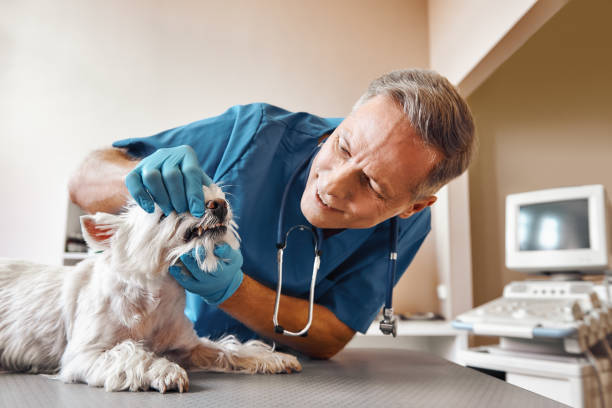 Best Emergency Root Canal Treatment in Bacliff, TX