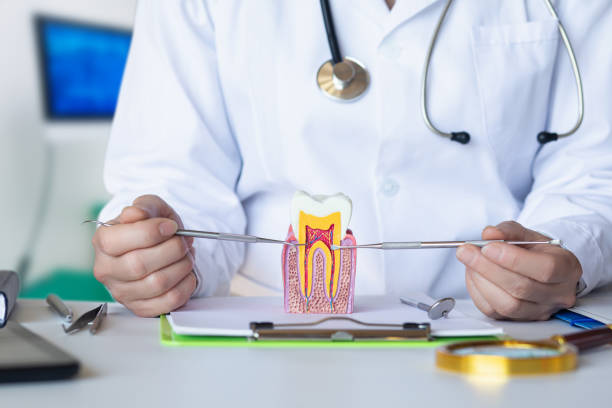 Best Emergency Denture Repair in Bacliff, TX